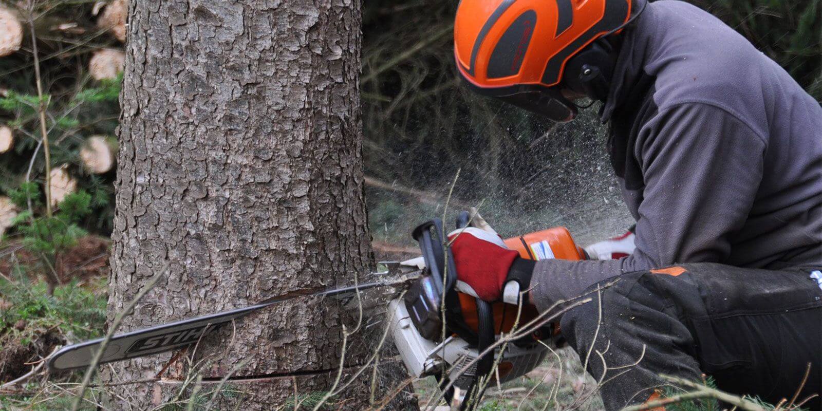 Bekleidung für Forst- und Landwirtschaft