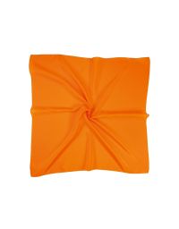 Seidentuch 53x53 cm